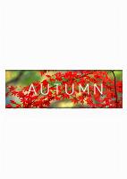 Autumn (PC/MAC/LX) DIGITAL