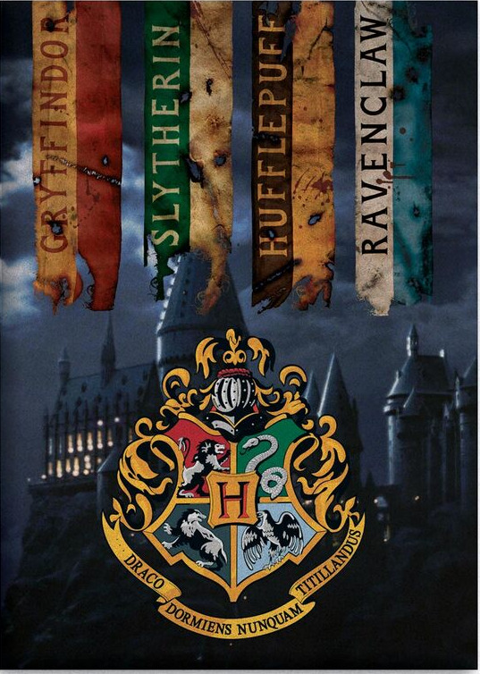 Deka Harry Potter - Hogwarts Schools