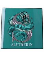 Obraz Harry Potter - Slytherin Crystal Clear Art Pictures (Nemesis Now)