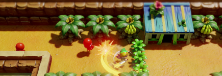 The Legend of Zelda: Links Awakening BAZAR