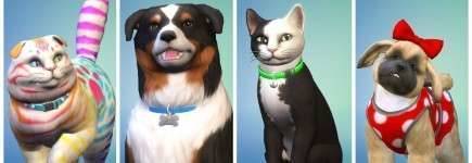 sims